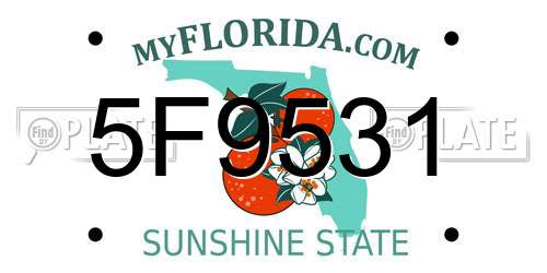 5F9531 Florida License Plate