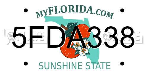 5FDA338 Florida License Plate