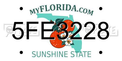 5FE3228 Florida License Plate