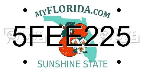5FEE225 Florida License Plate