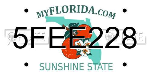 5FEE228 Florida License Plate
