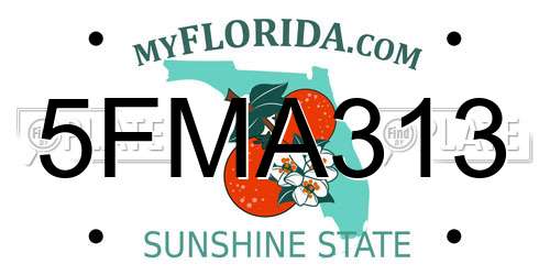 5FMA313 Florida License Plate