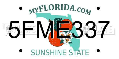 5FME337 Florida License Plate