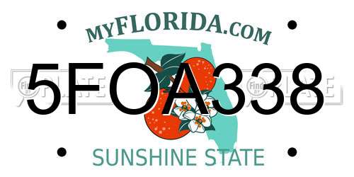 5FOA338 Florida License Plate