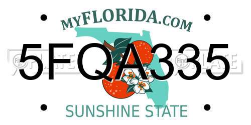 5FQA335 Florida License Plate