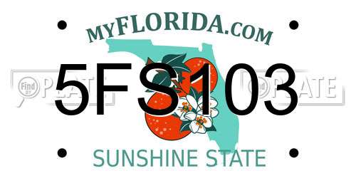 5FS103 Florida License Plate