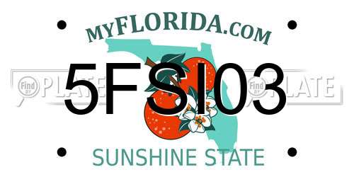5FSI03 Florida License Plate