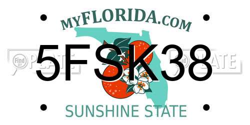 5FSK38 Florida License Plate
