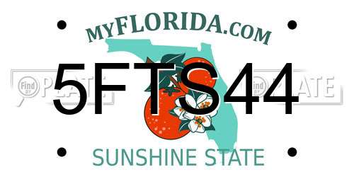 5FTS44 Florida License Plate