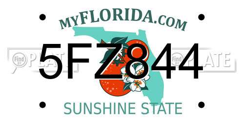 5FZ844 Florida License Plate
