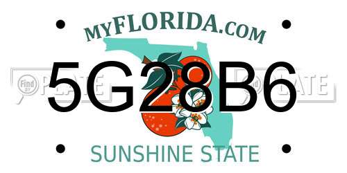 5G28B6 Florida License Plate