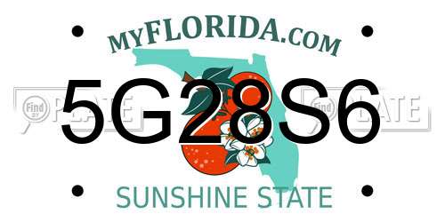 5G28S6 Florida License Plate
