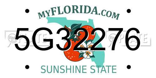 5G32276 Florida License Plate