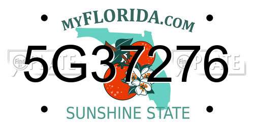 5G37276 Florida License Plate