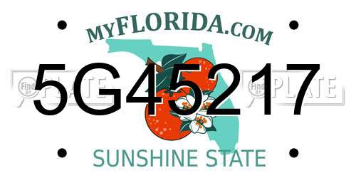 5G45217 Florida License Plate