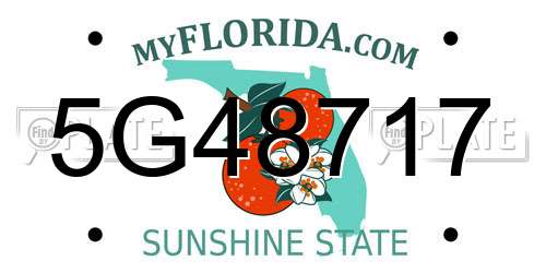 5G48717 Florida License Plate