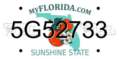5G52733 Florida License Plate