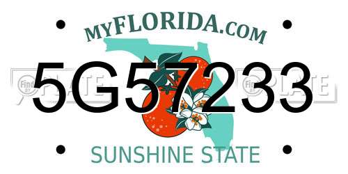 5G57233 Florida License Plate