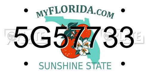 5G57733 Florida License Plate