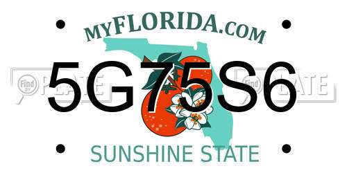 5G75S6 Florida License Plate