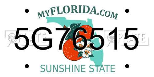 5G76515 Florida License Plate