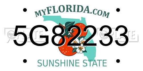 5G82233 Florida License Plate