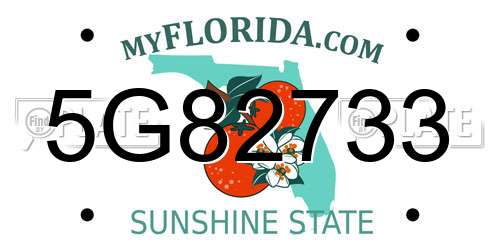 5G82733 Florida License Plate