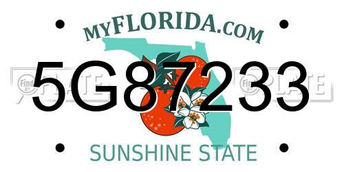 5G87233 Florida License Plate