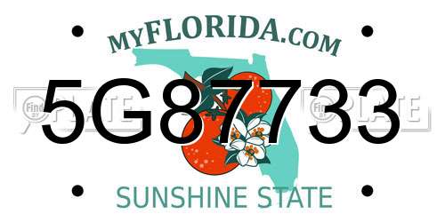 5G87733 Florida License Plate