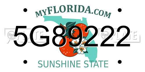 5G89222 Florida License Plate