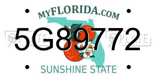 5G89772 Florida License Plate