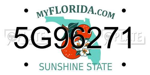 5G96271 Florida License Plate