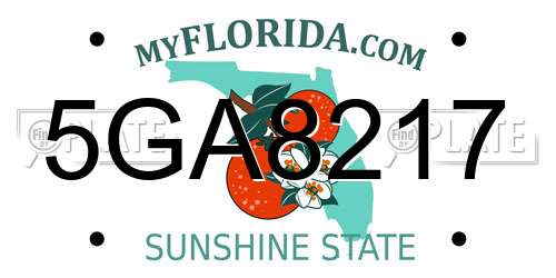 5GA8217 Florida License Plate