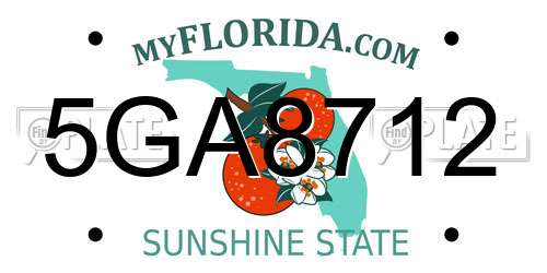 5GA8712 Florida License Plate