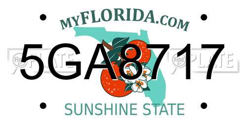 5GA8717 Florida License Plate