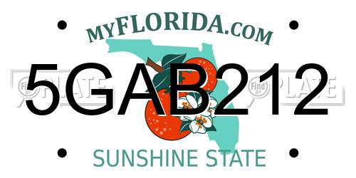 5GAB212 Florida License Plate