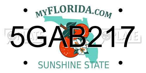 5GAB217 Florida License Plate
