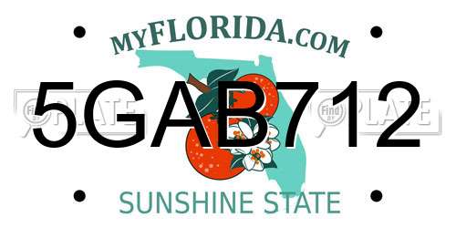 5GAB712 Florida License Plate