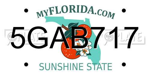 5GAB717 Florida License Plate