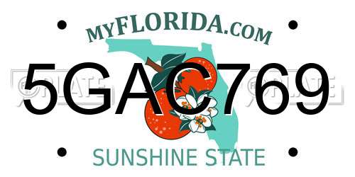 5GAC769 Florida License Plate
