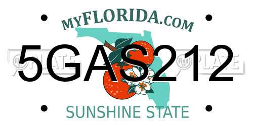 5GAS212 Florida License Plate
