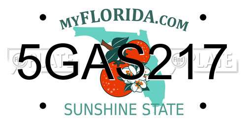 5GAS217 Florida License Plate