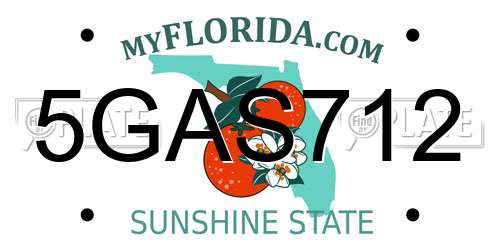 5GAS712 Florida License Plate