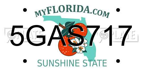 5GAS717 Florida License Plate