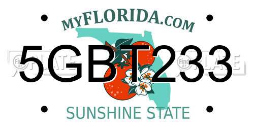 5GBT233 Florida License Plate