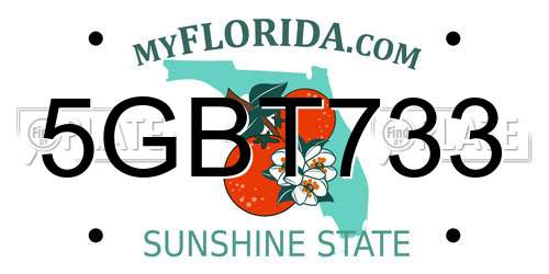 5GBT733 Florida License Plate