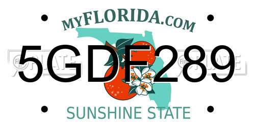 5GDF289 Florida License Plate