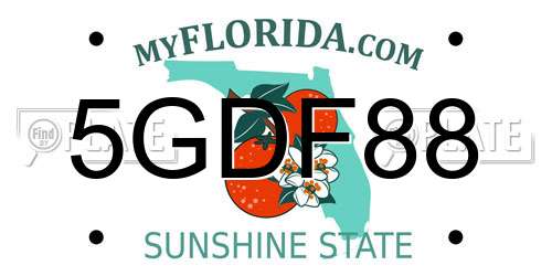 5GDF88 Florida License Plate
