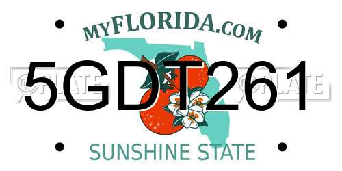 5GDT261 Florida License Plate
