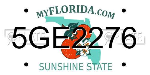 5GE2276 Florida License Plate